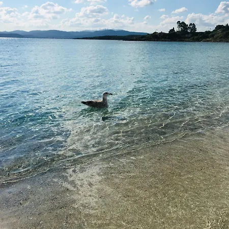 House Ilaria- Smeraldo Daire