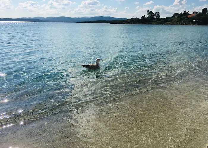 House Ilaria- Smeraldo Daire